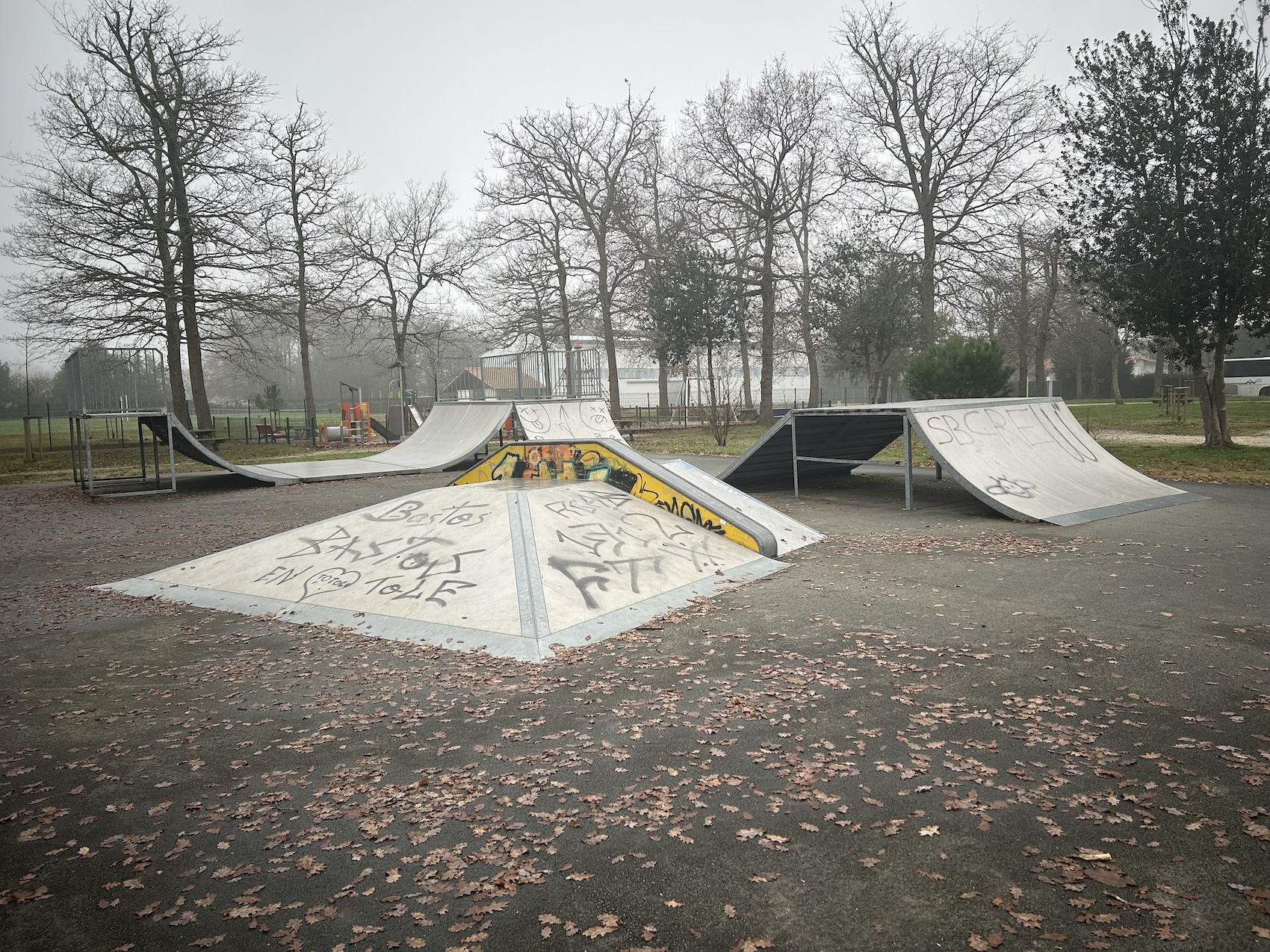 Étaules skatepark